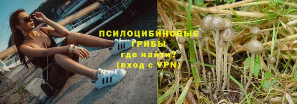 мяу мяу мука Алексеевка